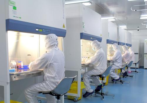 植物細(xì)胞實(shí)驗(yàn)室如何施工建設(shè)