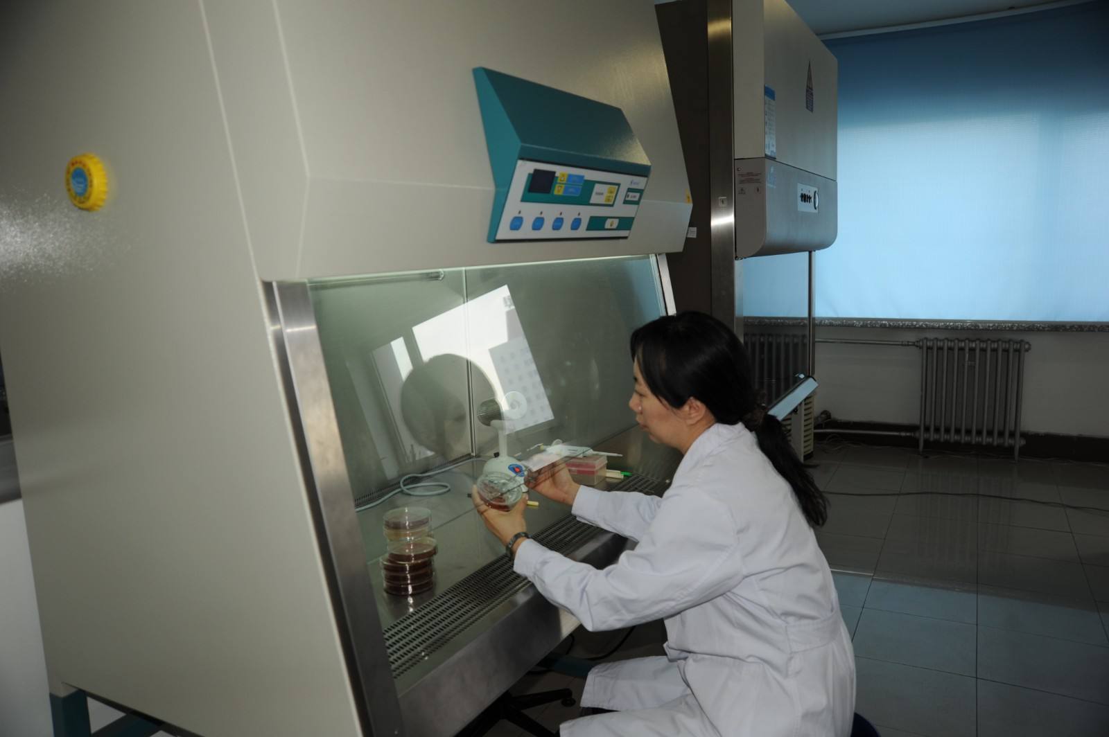 微生物無(wú)菌實(shí)驗(yàn)室建設(shè)要點(diǎn)